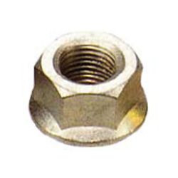 Flange Nuts M6 - M16
